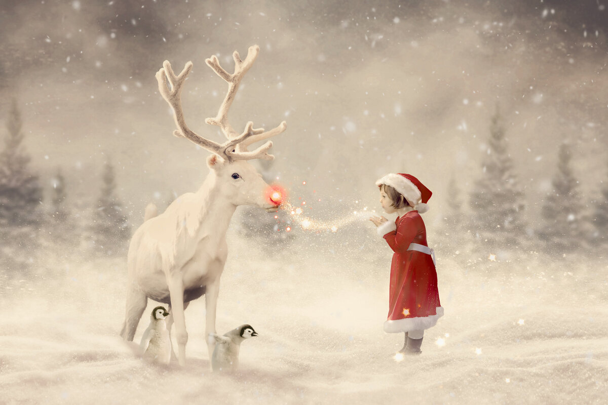 Melody | Christmas Imagination2