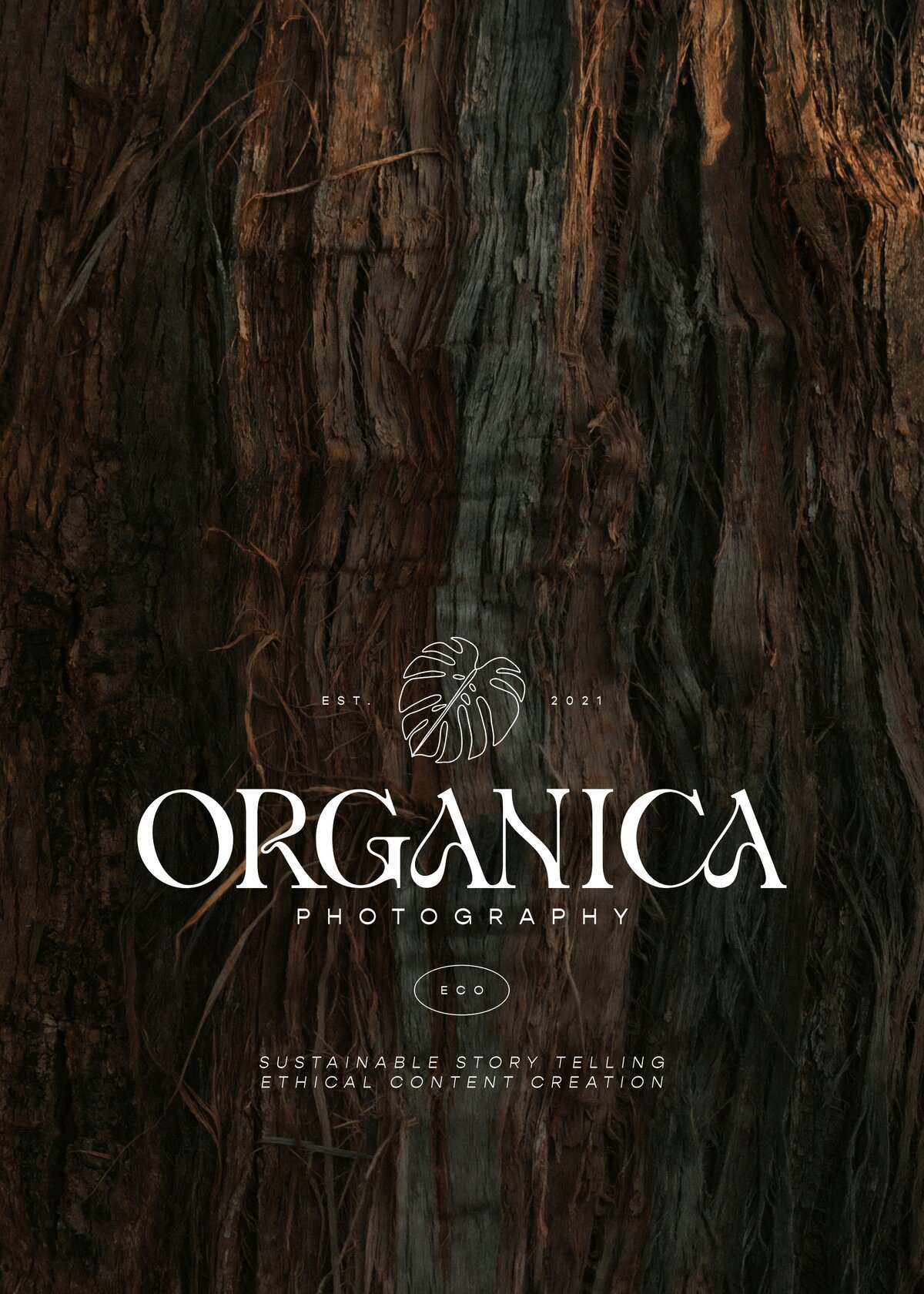 Bark-Texture-Photography-Organica(1) (1)