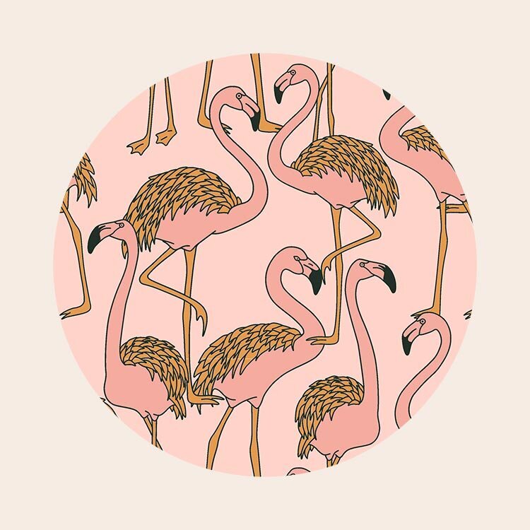 product-pattern-flamingo