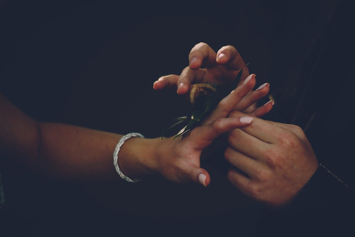 quinton-coetzee-jZ_d2EqAACQ-unsplash