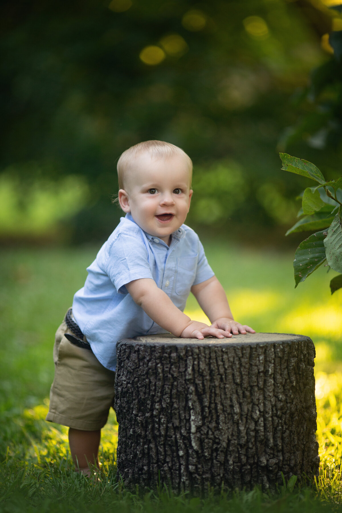 A young toddler boy in a blue button down shirt leans on a stump in a park