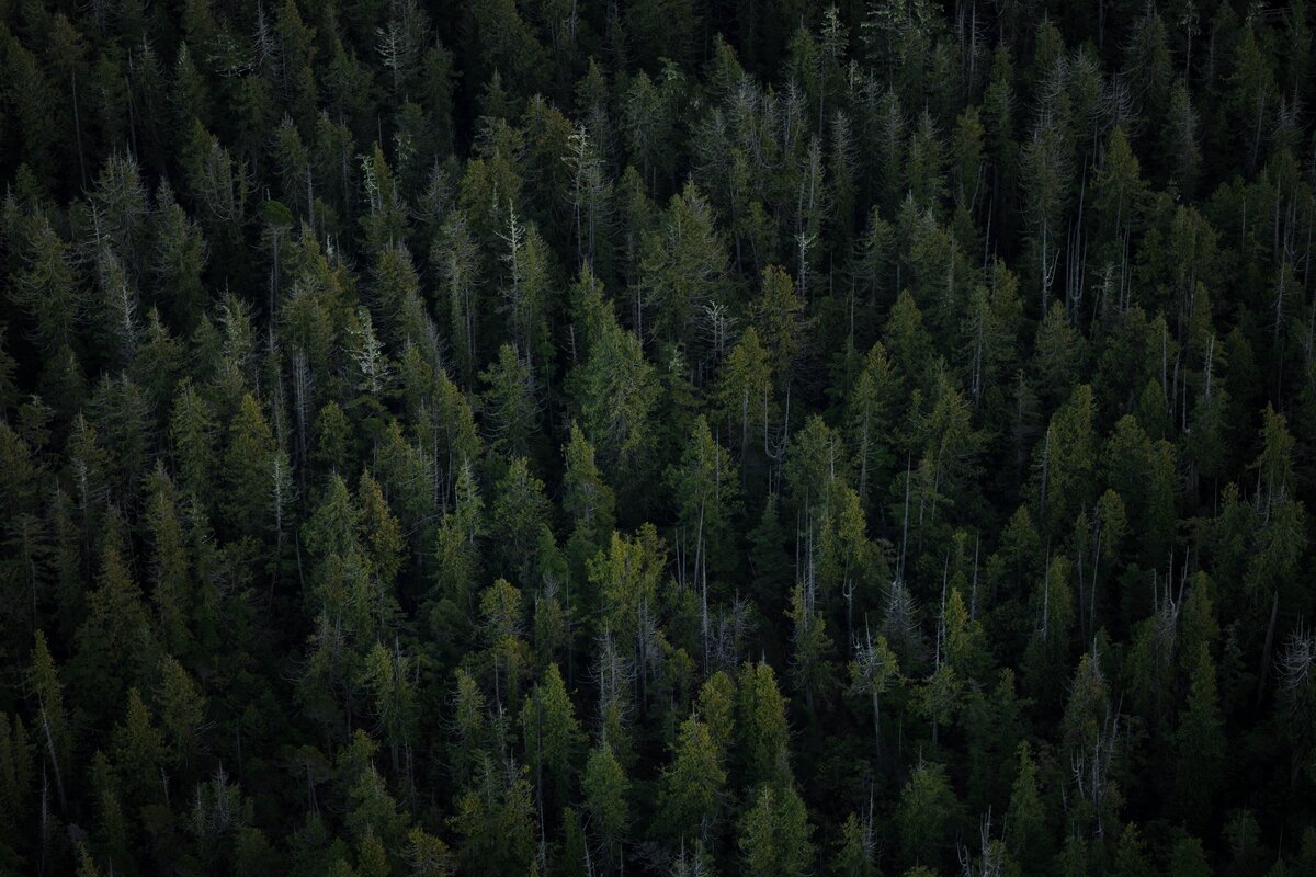 shayd-johnson-3SYi9YfTXdU-unsplash