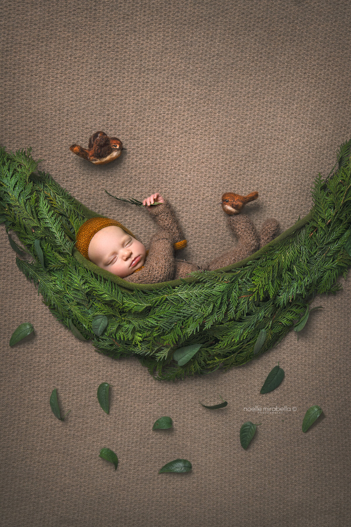 Newborn in brown suit sleeping in cedar hammock