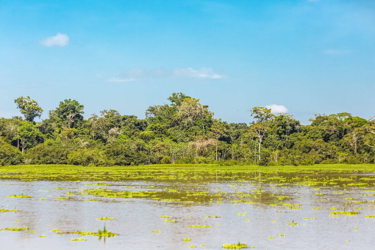 028-KBP-Peru-Iquitos-Amazom-Rainforest-001