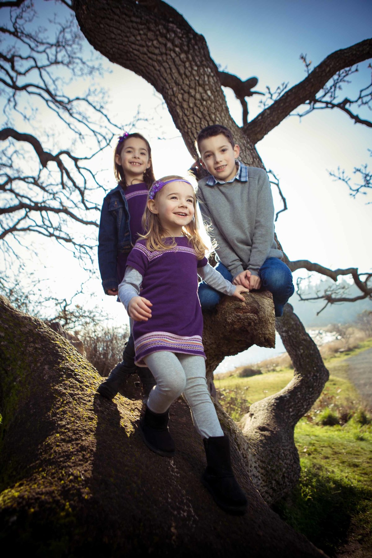 Kids on Tree at Pipers