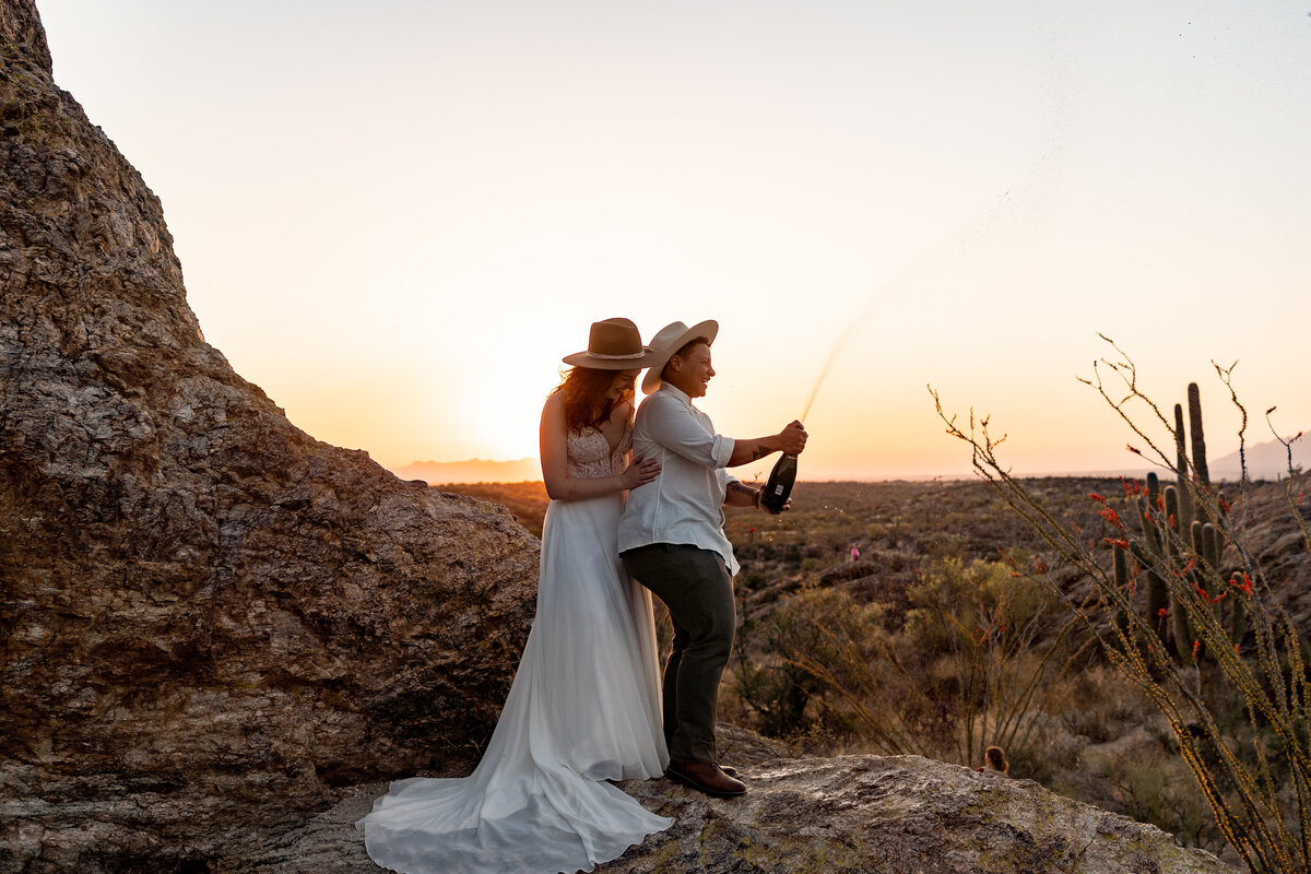 saguaro national park tucson arizona elopement photography (9)