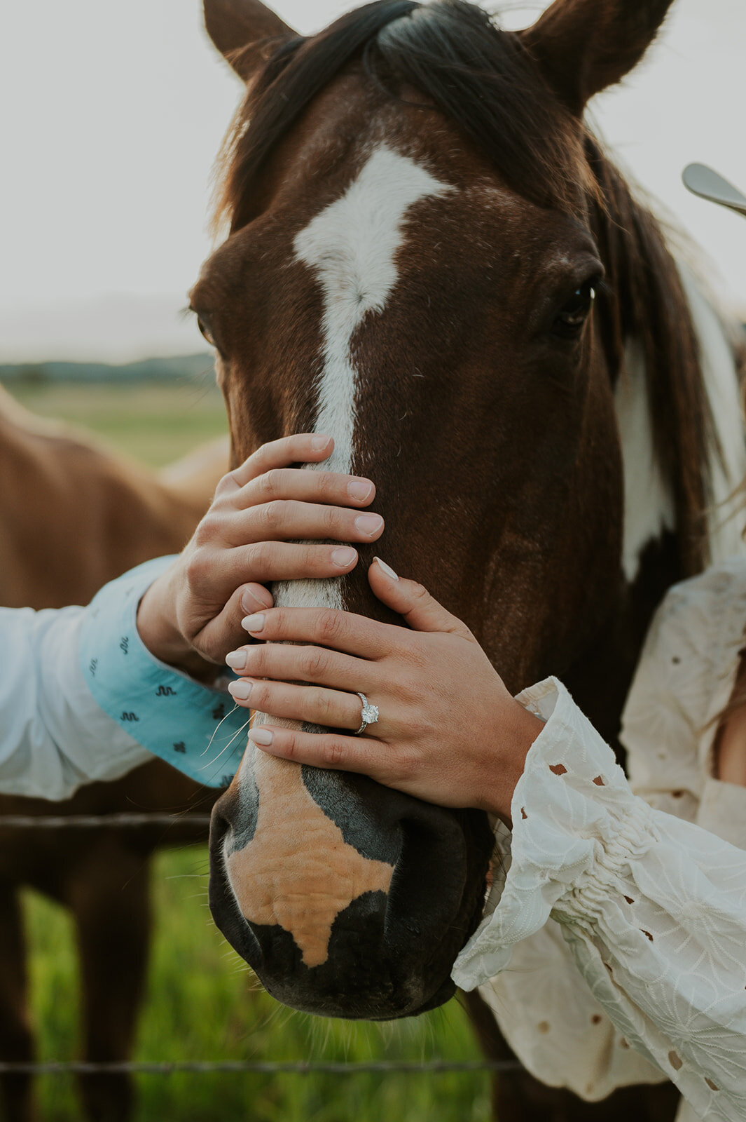 presley-gray-horse-pasture-engagement8774