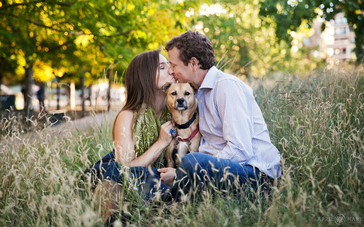 Adorable dog engagement photography in Denver at Riverfront park in Colorado