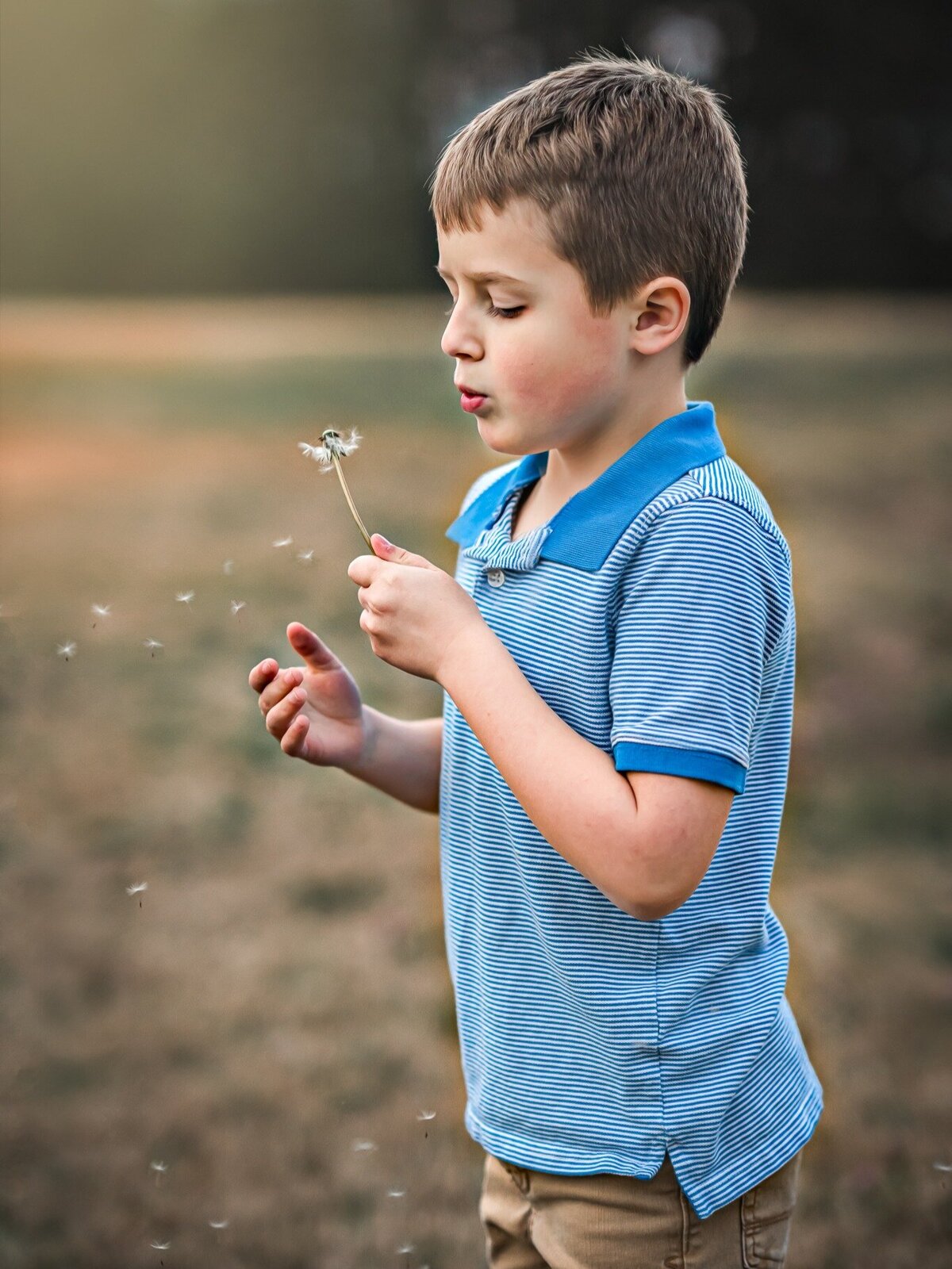 A young boy blows on a dandelion  while standing in a field at Starrs Mill in  Fayetteville, GA.