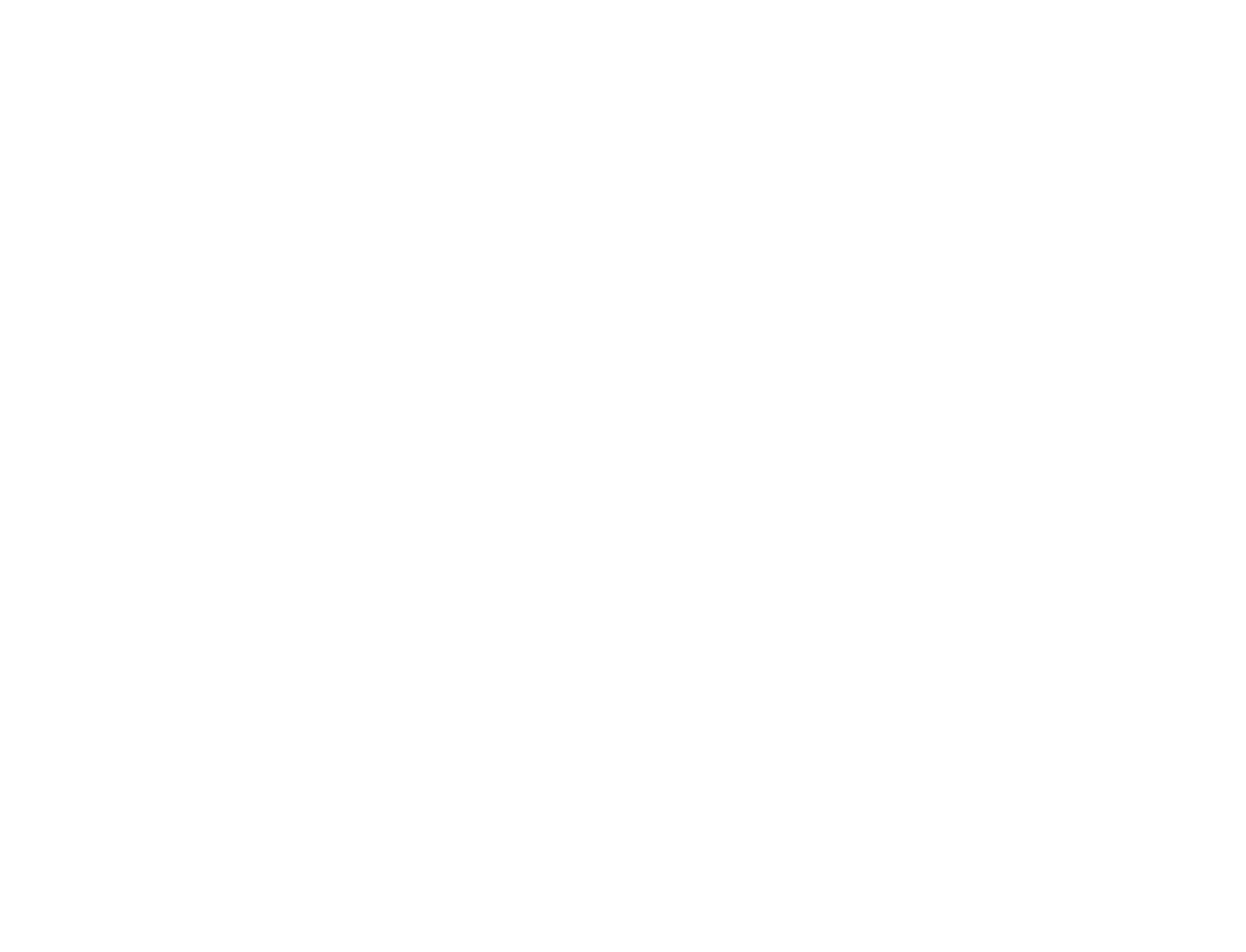 Southern_Skin_Spa_Logo_WHITE