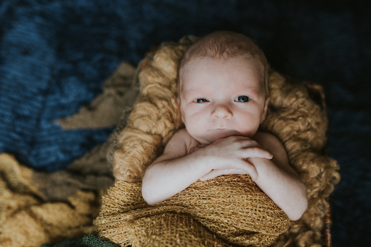 Pittsburgh-newborn-photographer-2