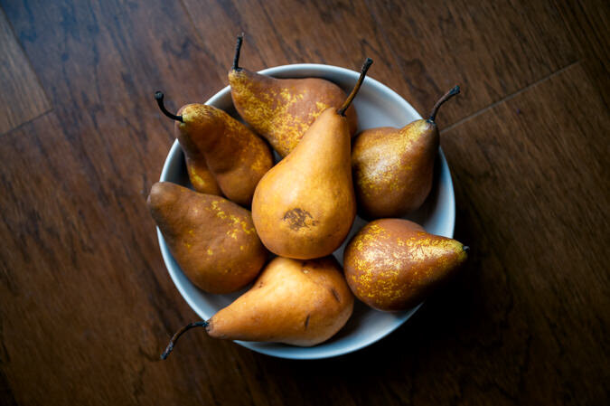 pears-dana nicole photography-103
