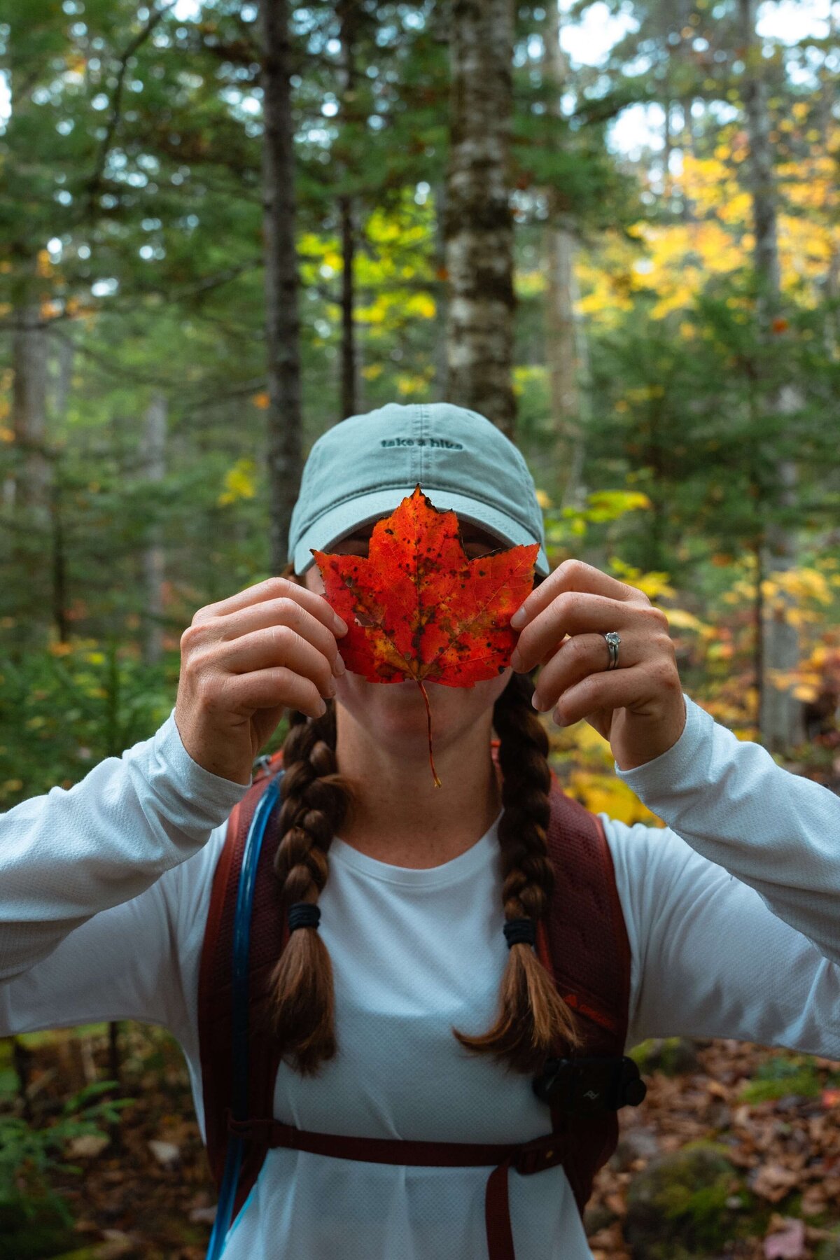 meredith-ewenson-sandwich-wilderness-white-mountains-new-hampshire-fall-foliage-trail-hiking-hike3