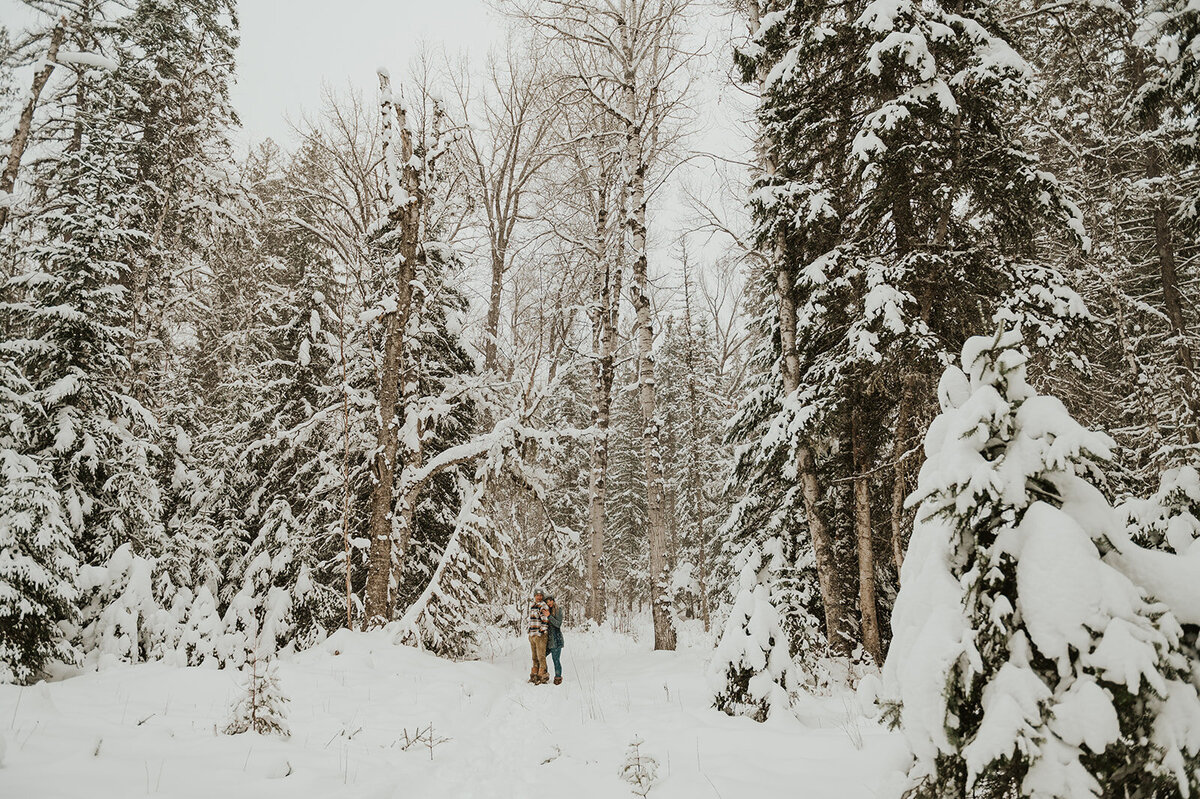 winter-montana-dog-sledding-proposal-presley-gray-photo-7913