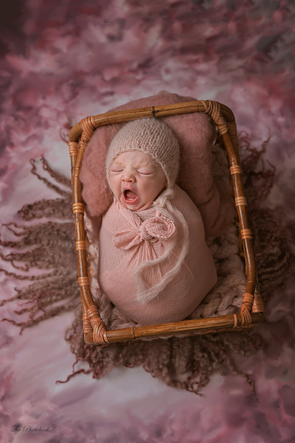 TP6_3990-The Photobook-newborn-Photographer- Michigan Photograpgher-Child photographer-newborn photographer