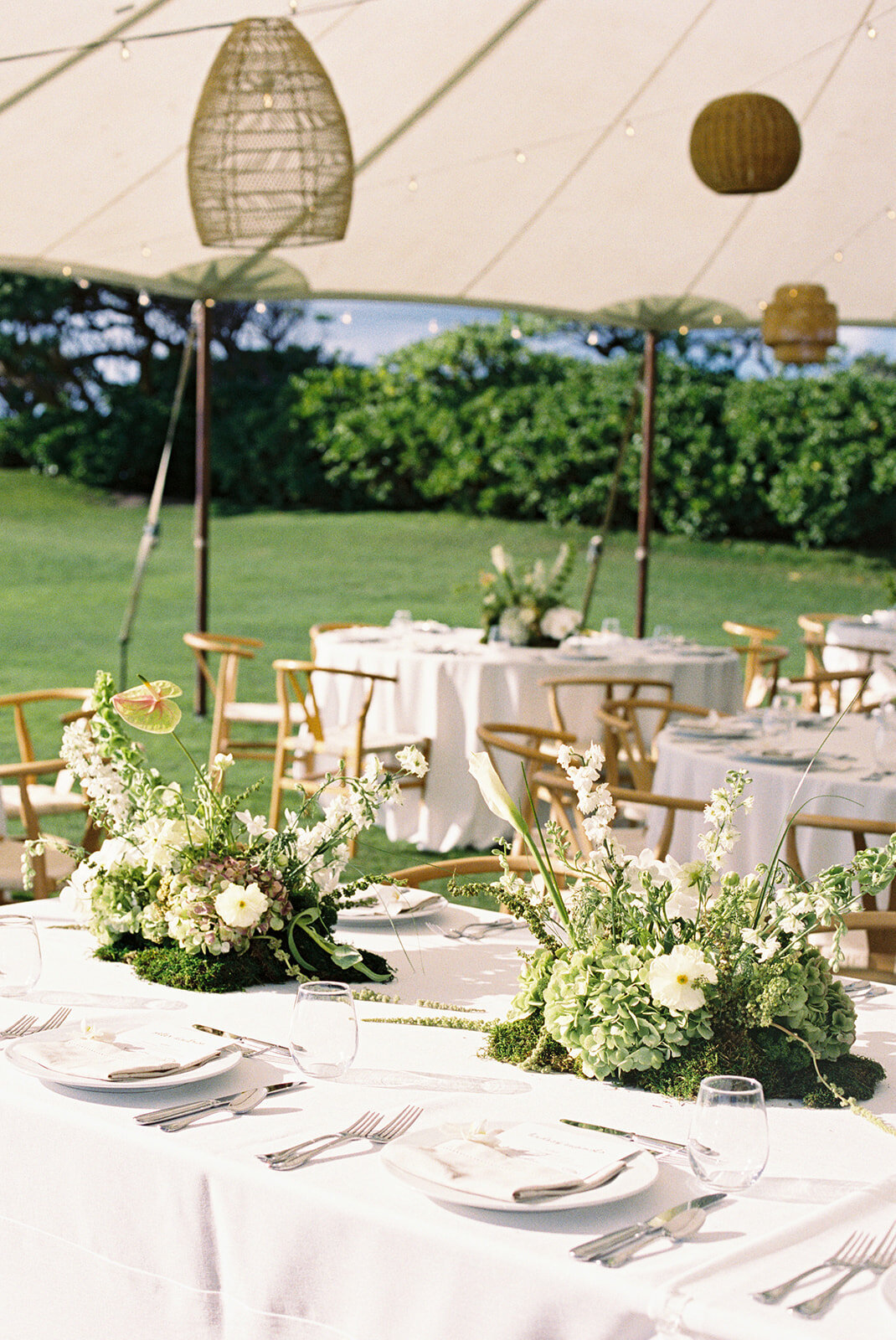 tiff.chris.film.emily-choy-photography-378