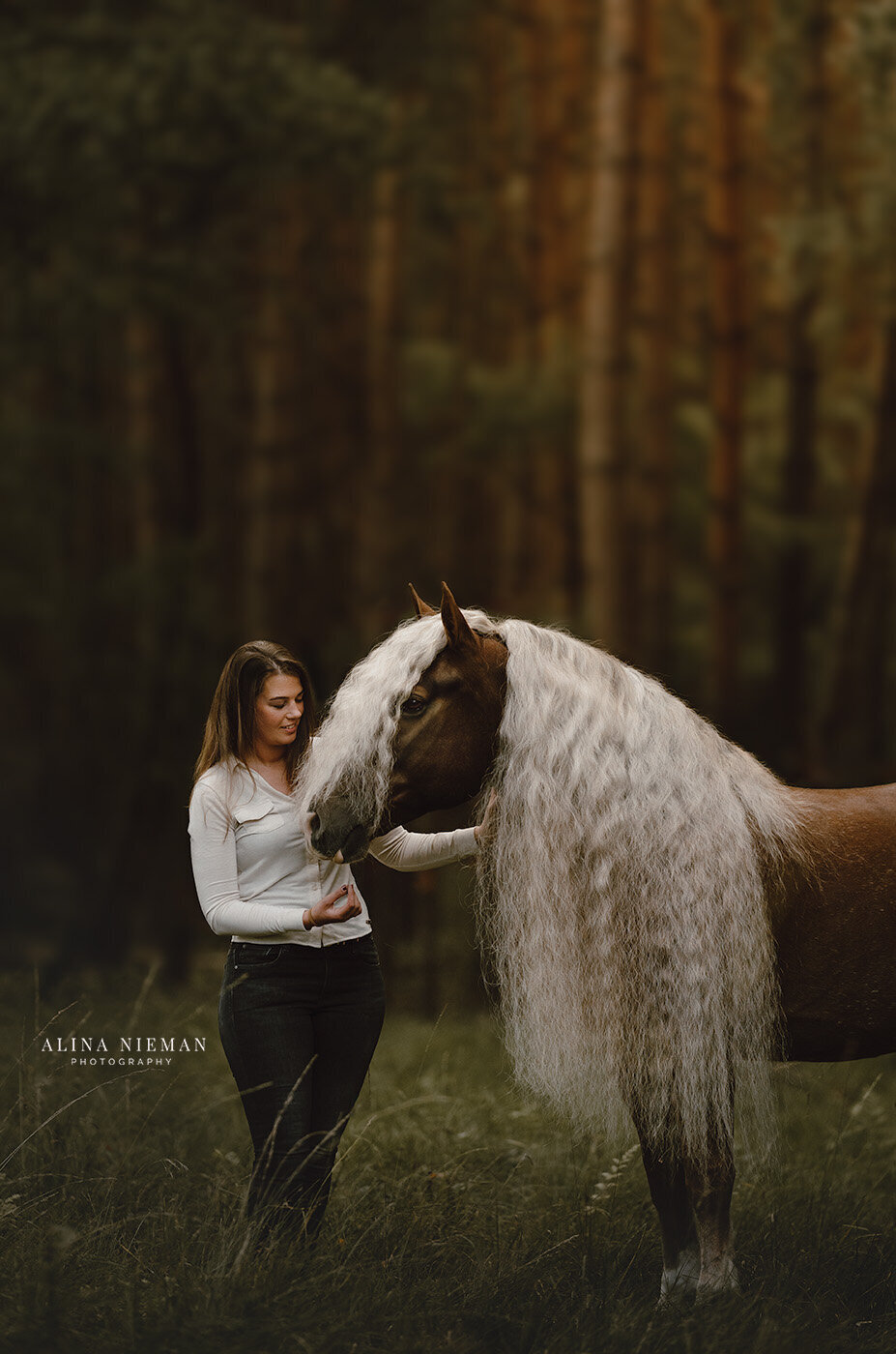 Fotoshoot met je paard in een prachtig bos | Paardenfotograaf Groningen