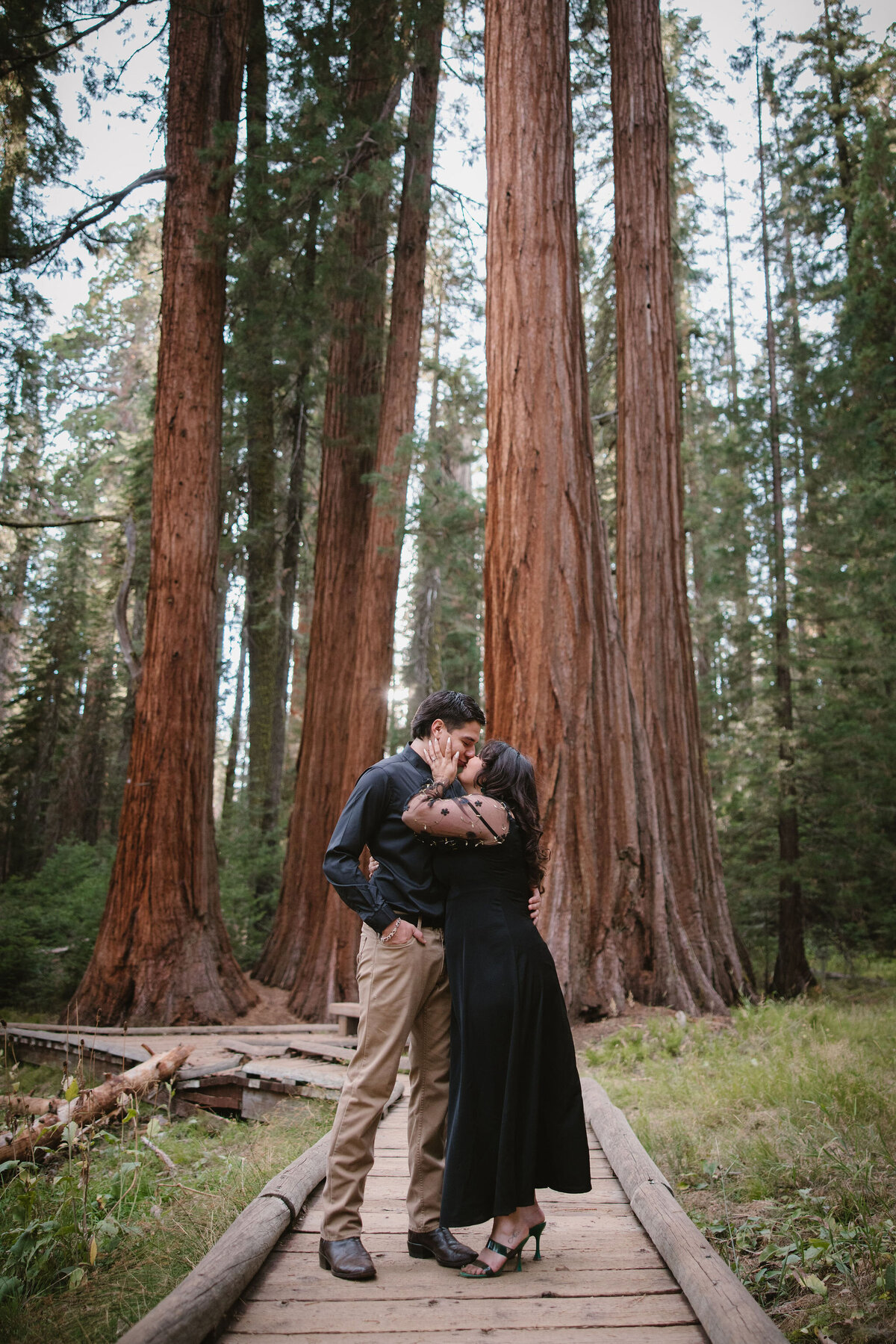 Sequoia National Park Engagement Photographer3515