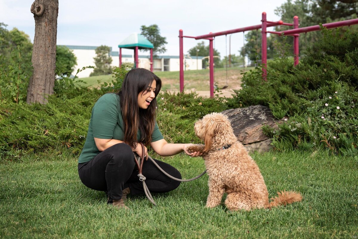 Dog-Trainer-shaking-paw-during-Training-Session