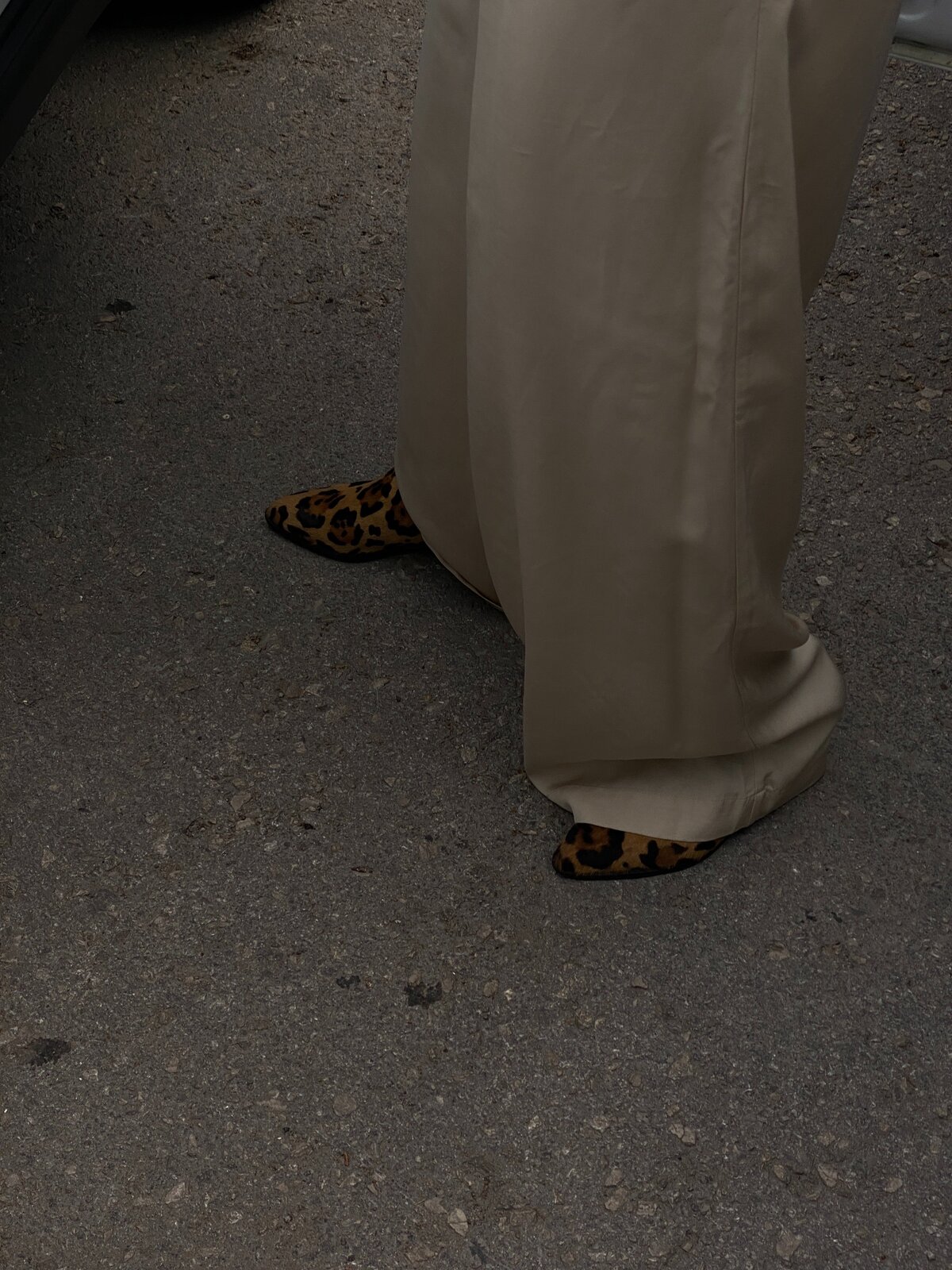 pexels-алеся-горбунова-8910338