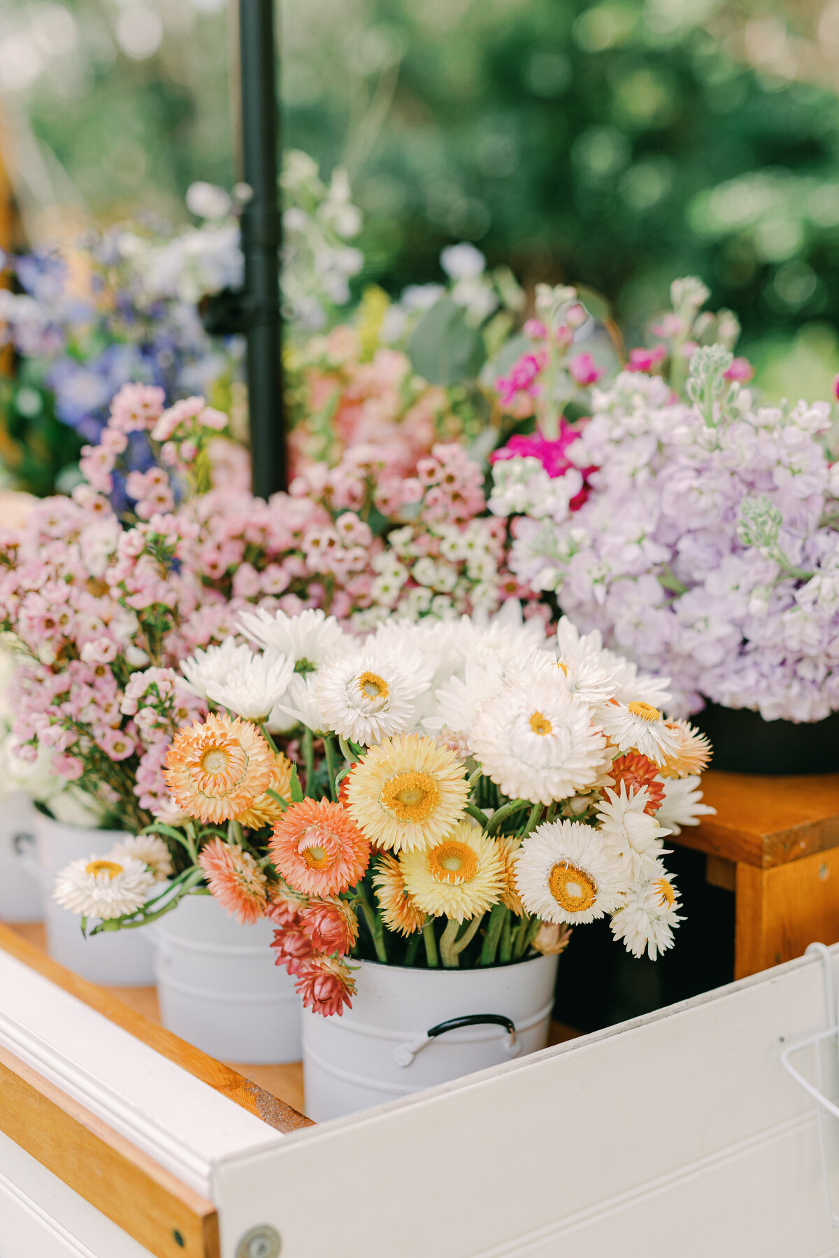 capen-house-wedding-planner-085