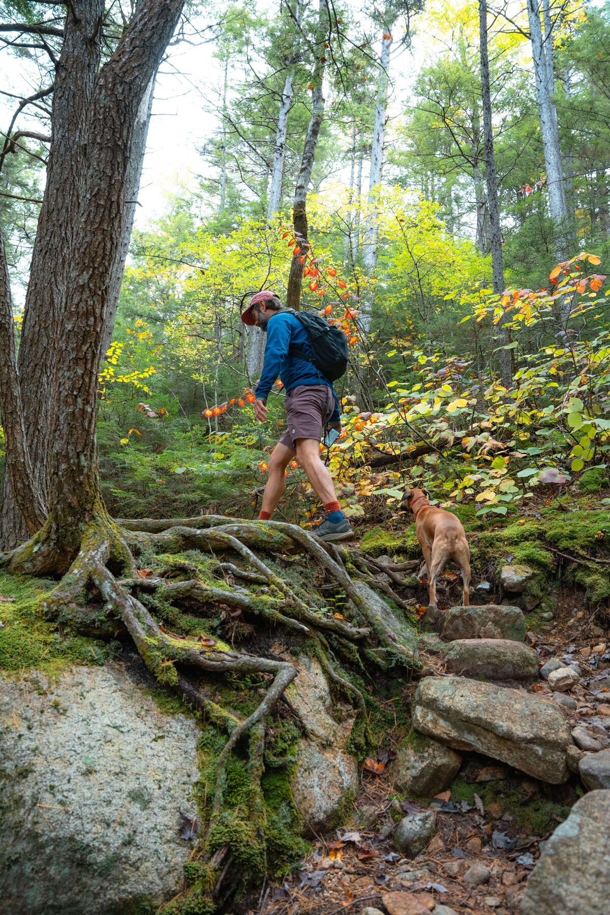 meredith-ewenson-sandwich-wilderness-white-mountains-new-hampshire-fall-foliage-trail-hiking-hike4
