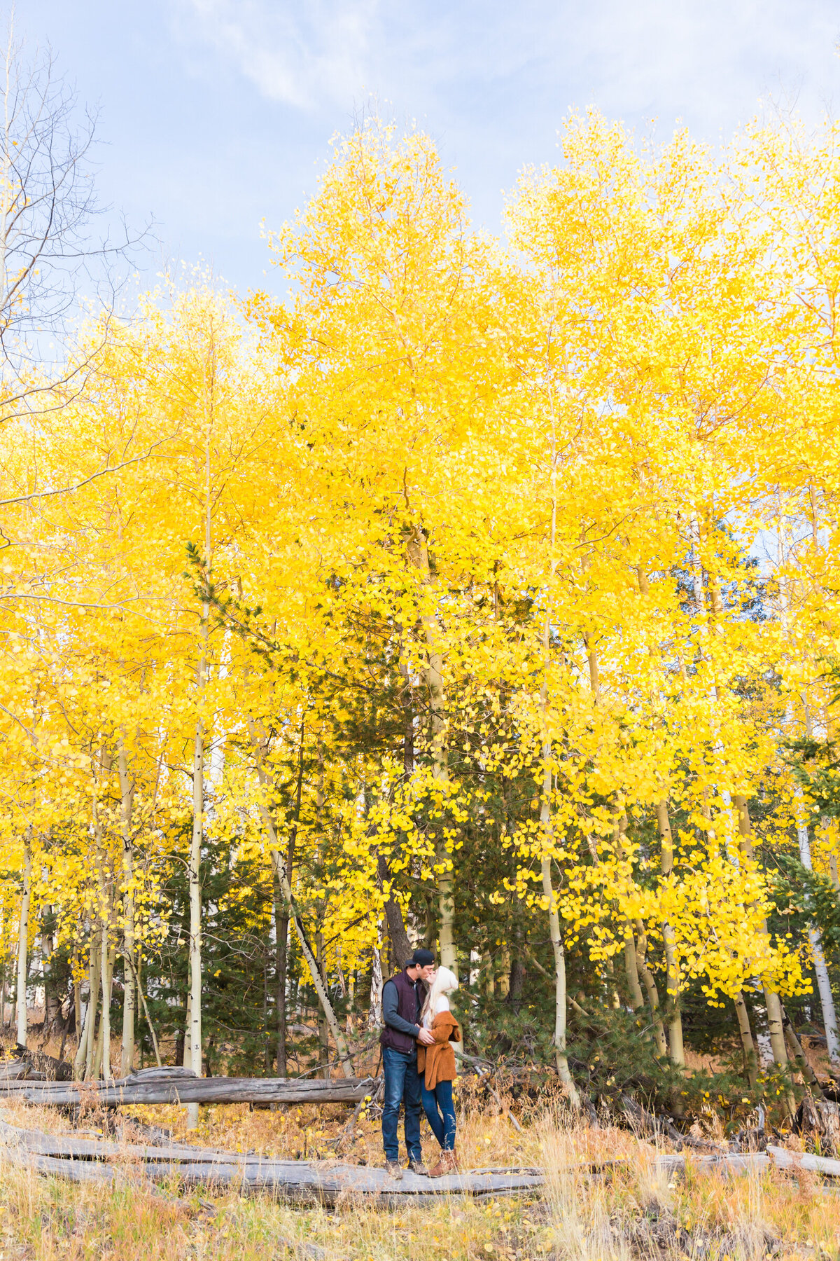 engaged couple posing together for engagement photo in fall aspen trees