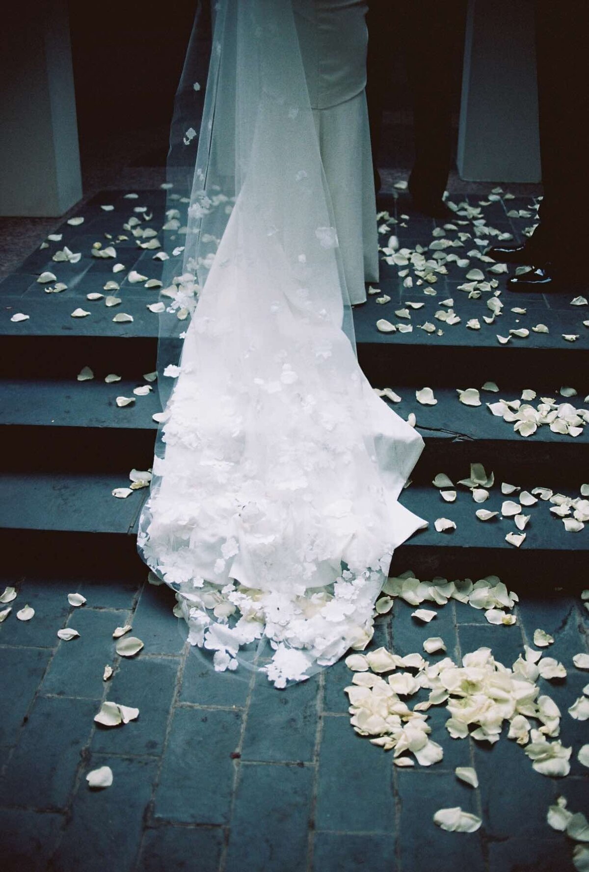 Bride's white veil flows down steps adorned with scattered white rose petals, creating a romantic and elegant atmosphere.