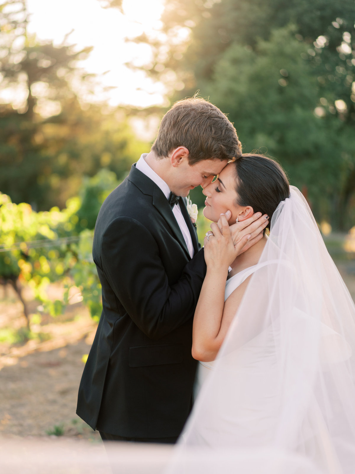 Kelsey + Alex Sonoma Buena Vista Winery Wedding - Cassie Valente Photography 0201