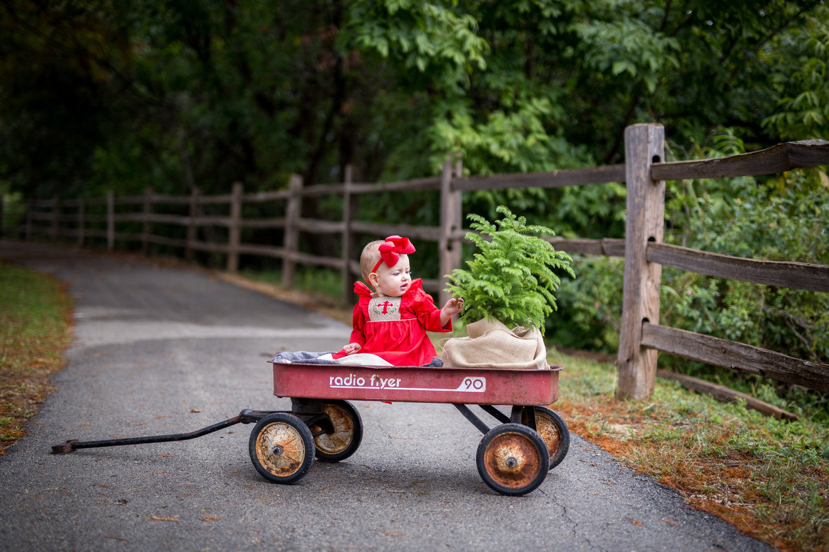 Baby sitting in s red wagon with a small Christmas tree posing for a San Antonio Photographer in Denman Estate park