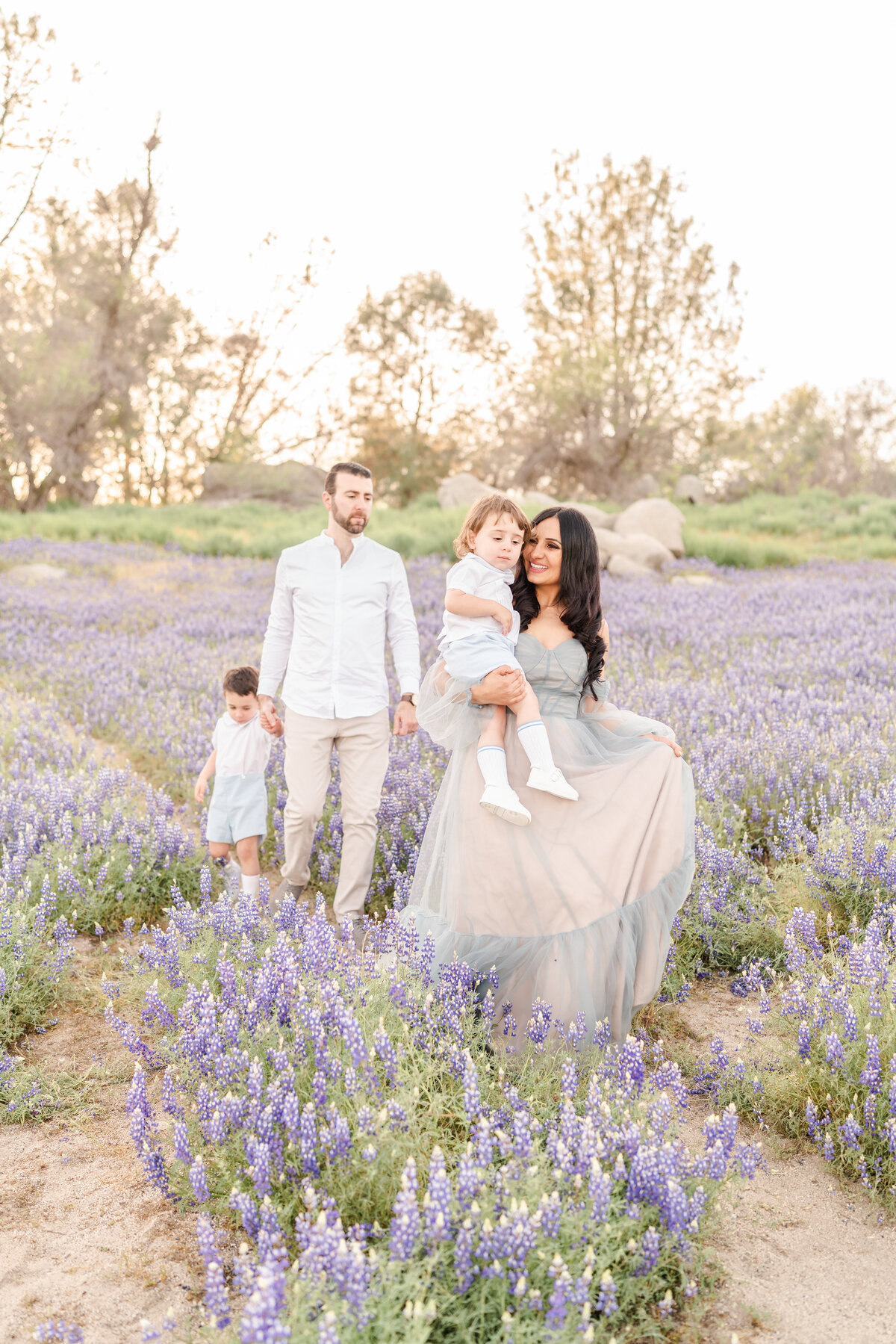 A family of four is walking in a field of purple lupines while the mother is holding the youngest child and twirling her dress photographed by bay area photography, Light Livin Photography.