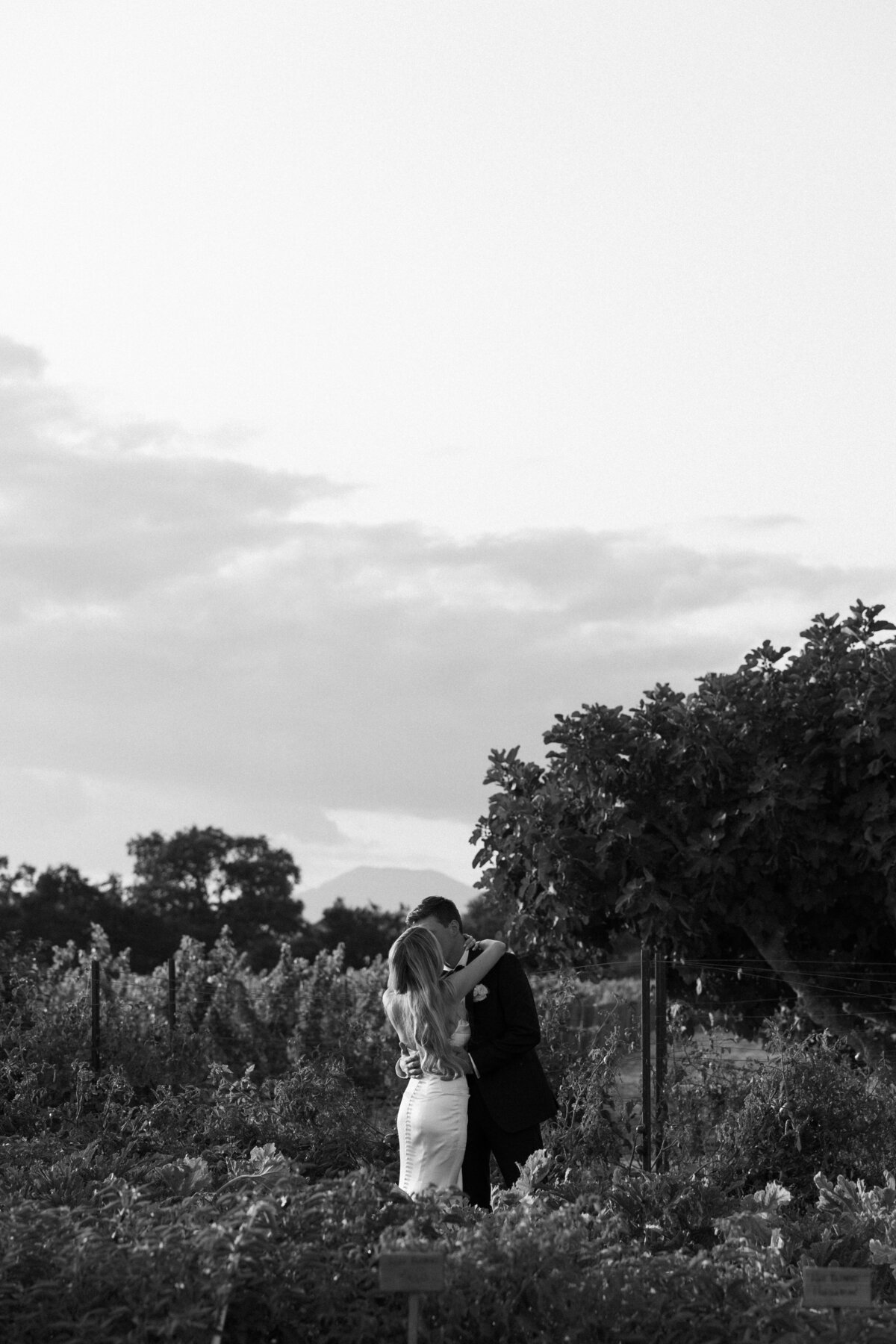 Napa-Wedding-Photographer-21