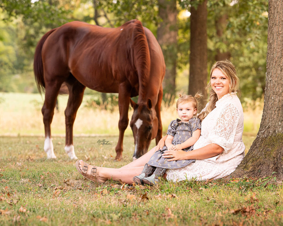 Southern-illinois-horse-photographer-#56