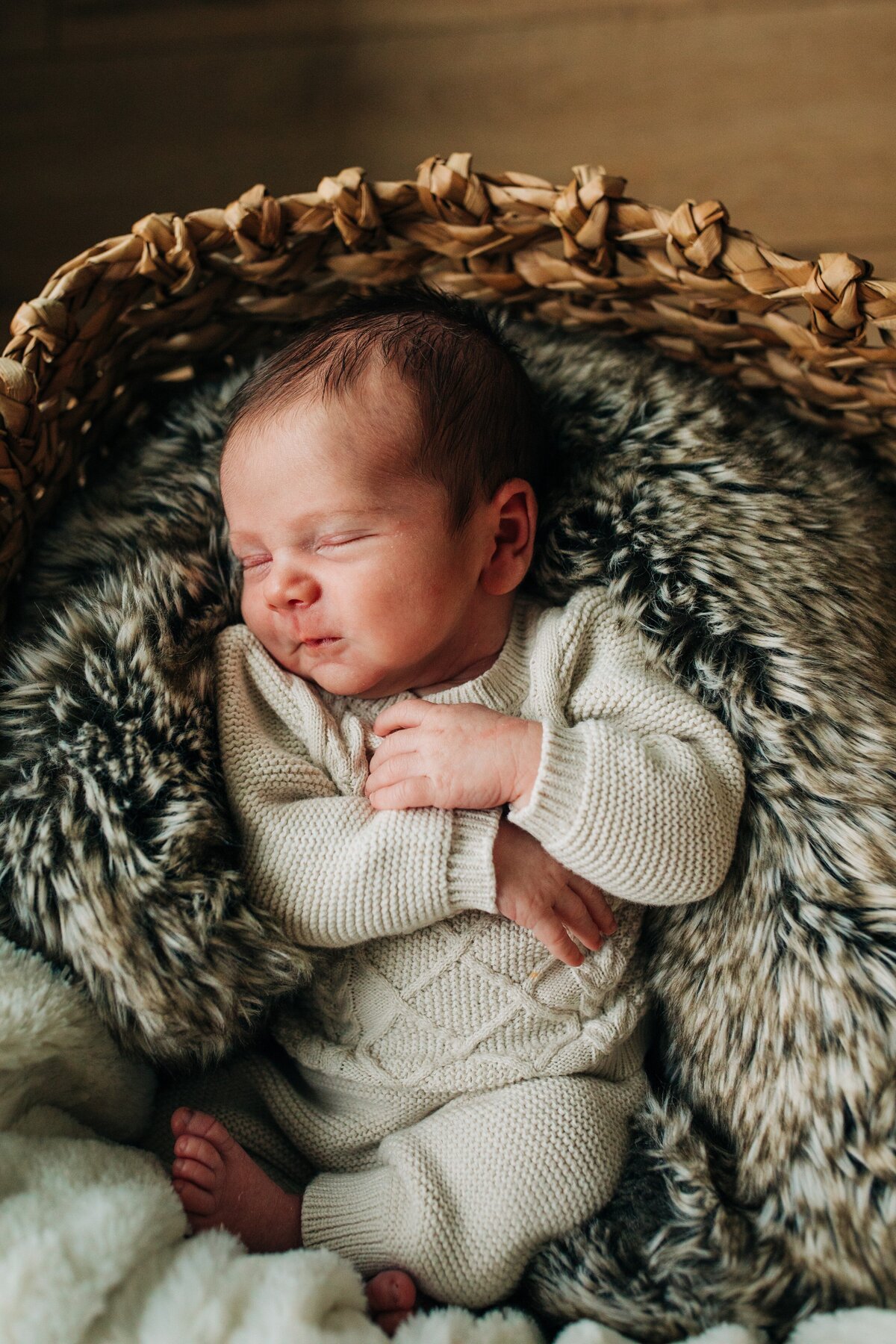 Posed-Newborn-Photos-Milwaukee
