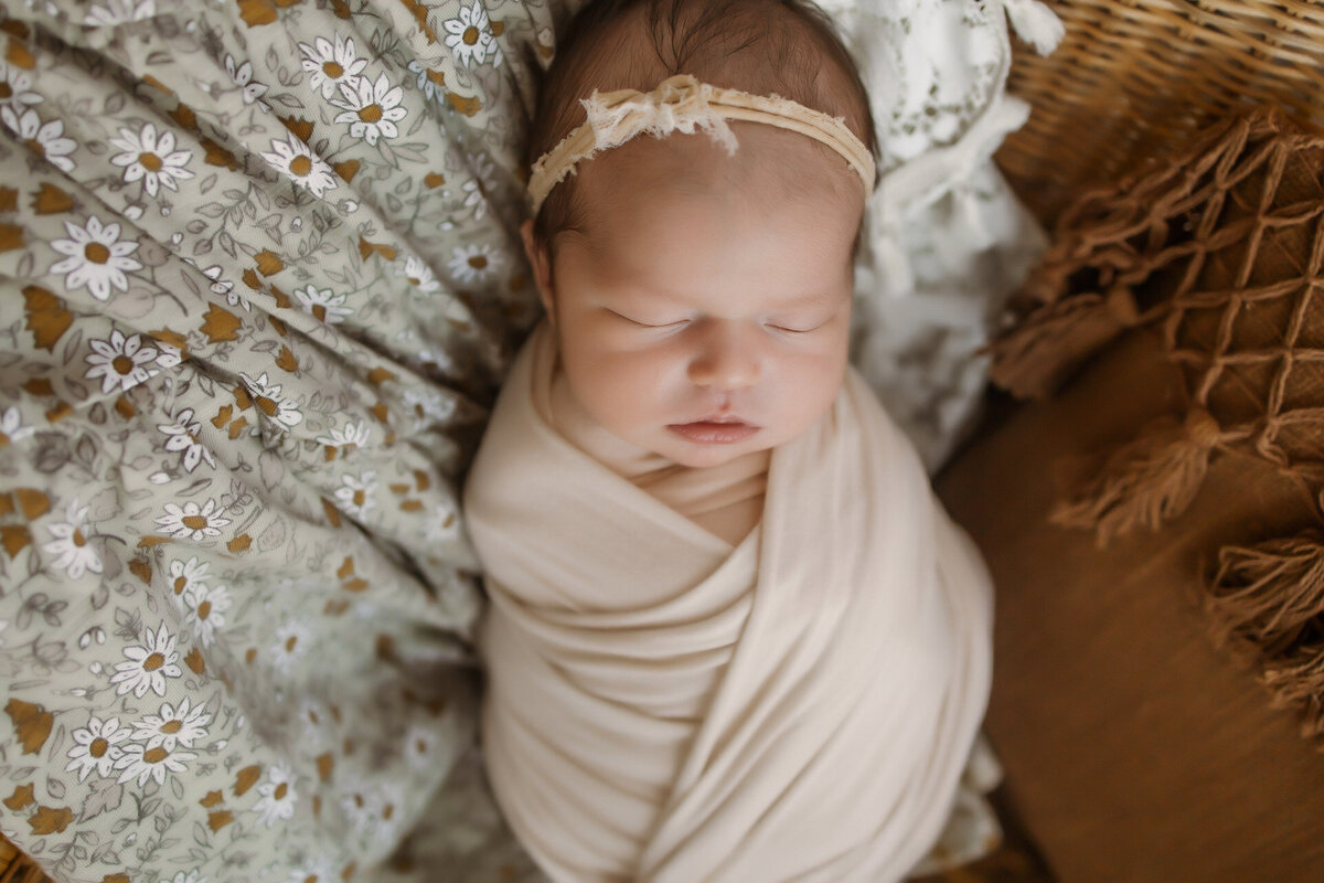 russellville arkansas newborn photographer 5