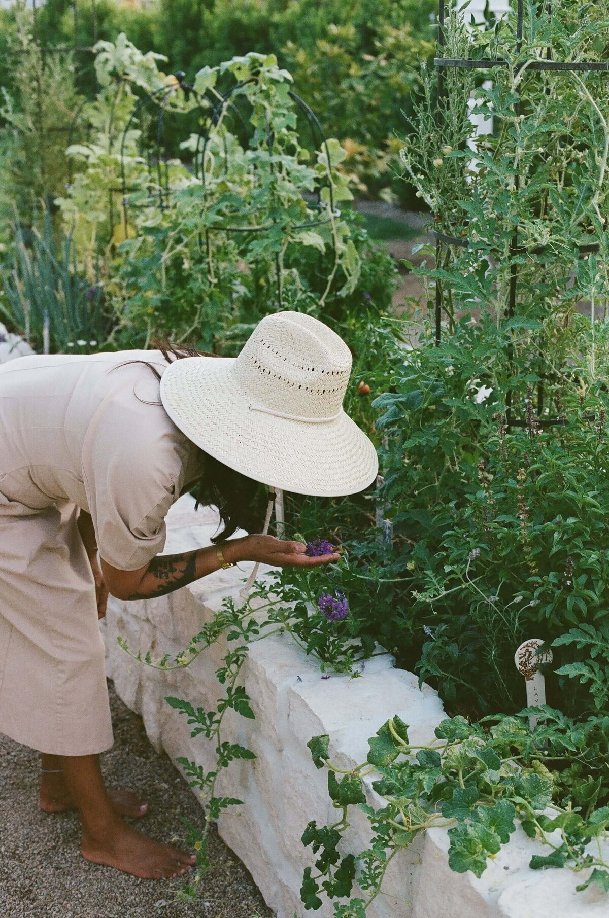 Stone-Rasied-Beds-Hacienda