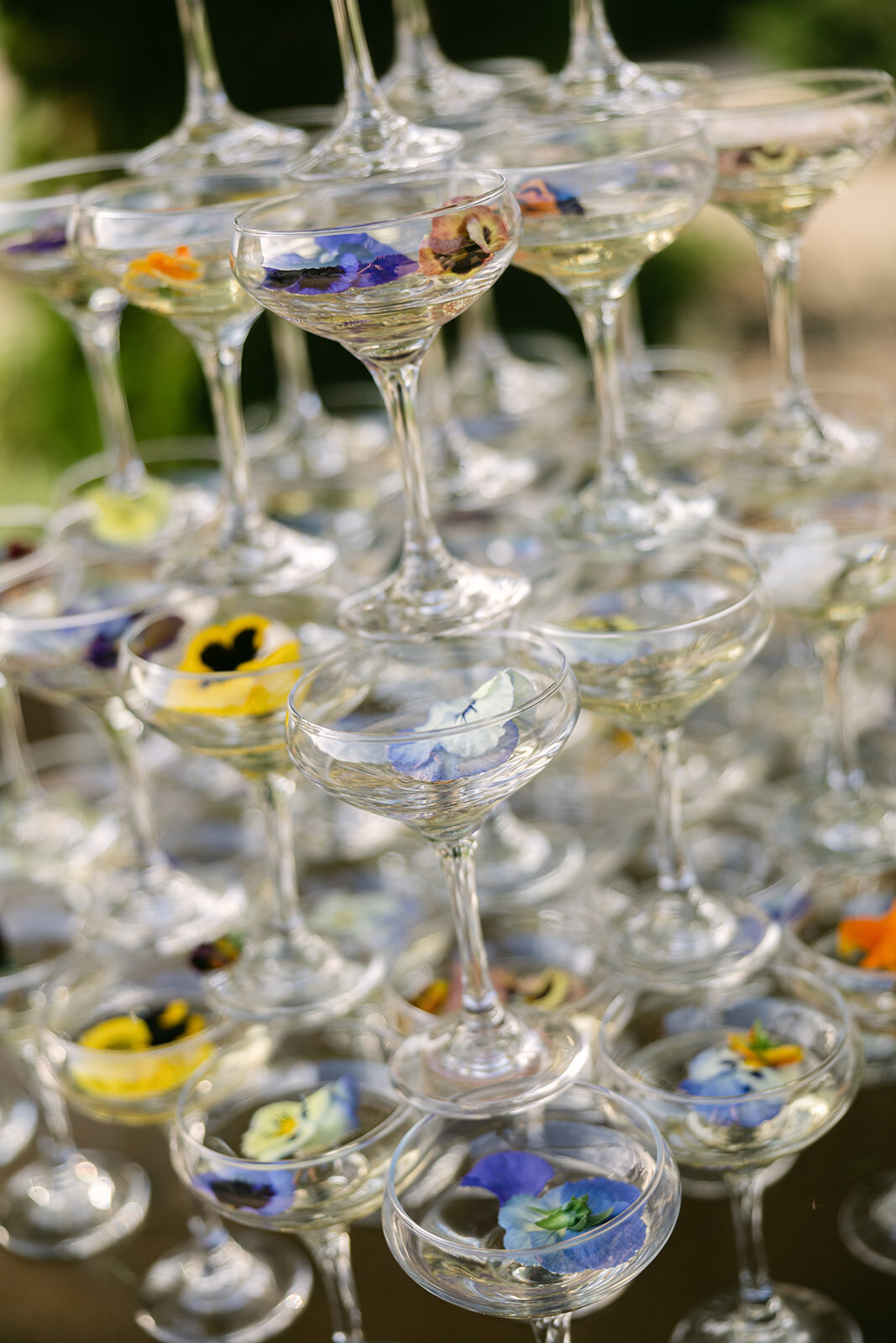 Pippin Hill Wedding-8_websize