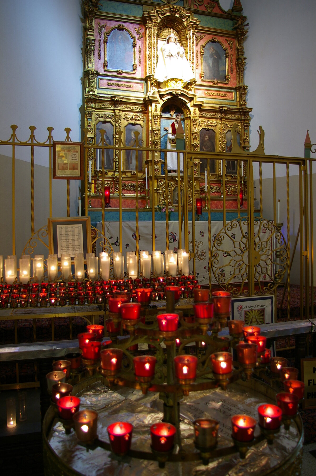 IMGP2962