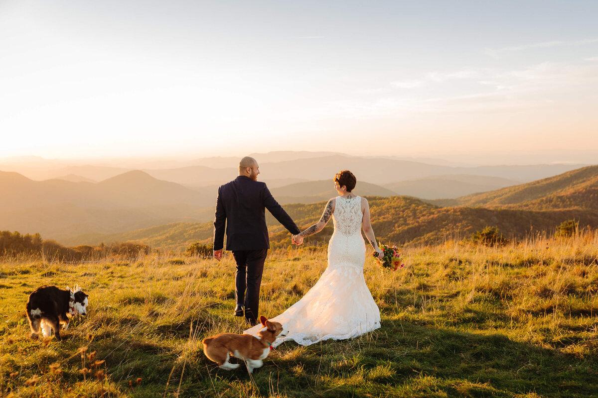 Max-Patch-NC-Mountain-Elopement-38