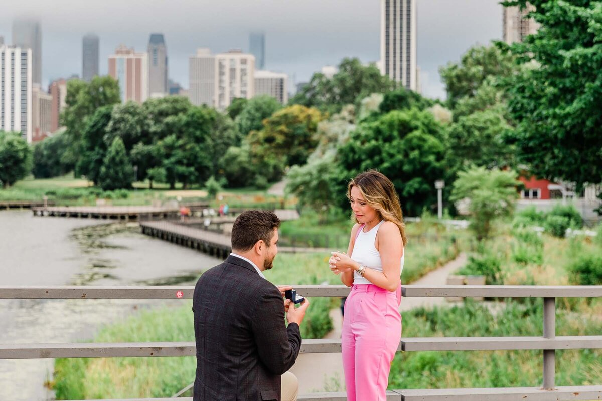 Lincoln Park Summer Proposal-9