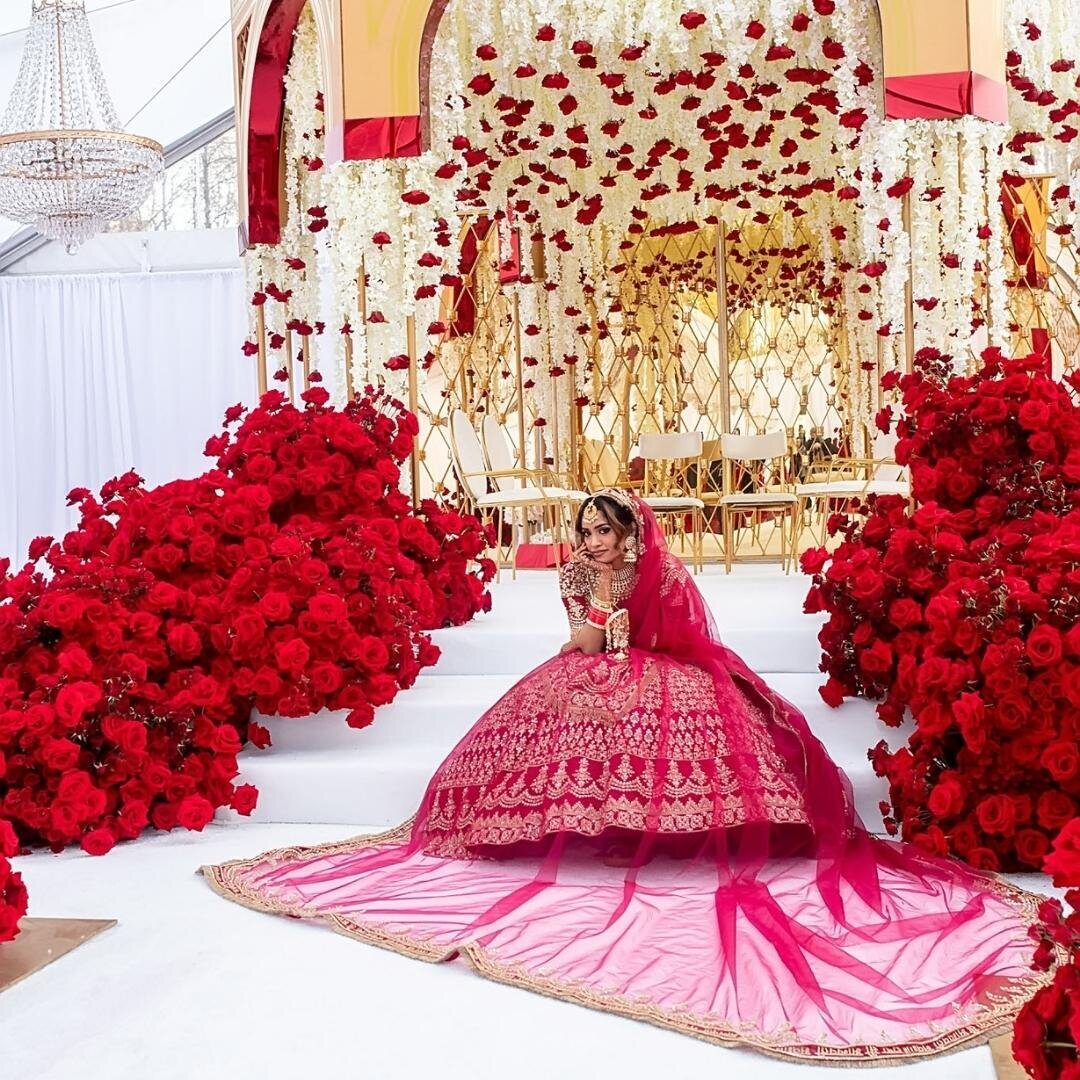 Shiv and Suk ceremony- bridal portraits veil