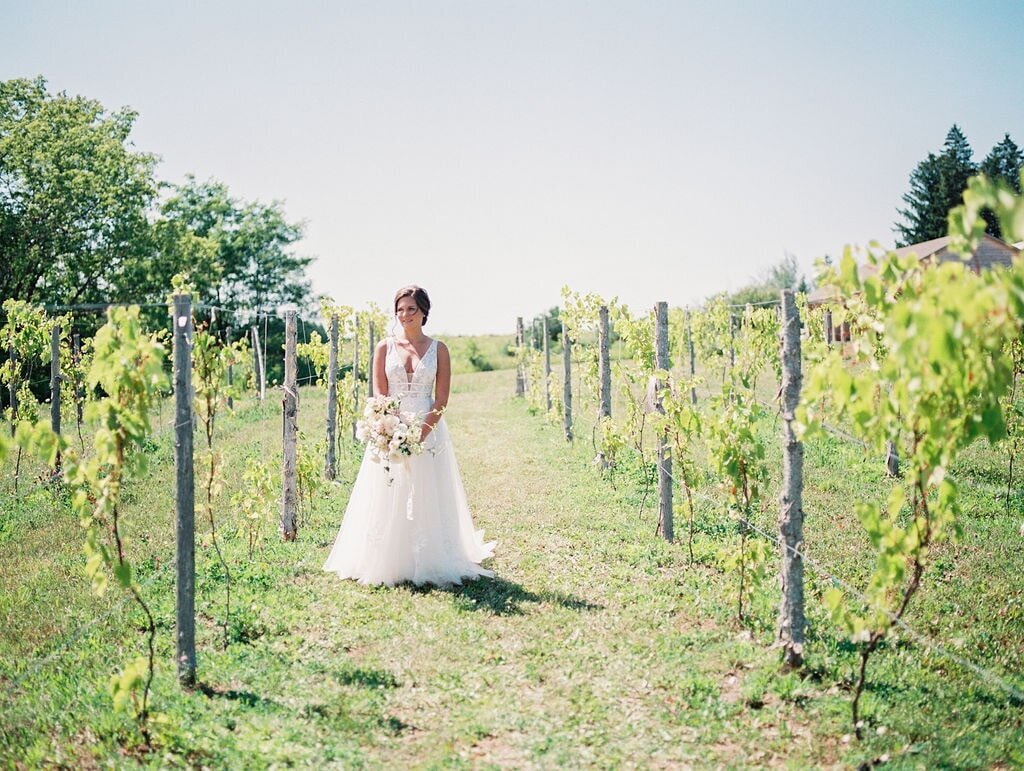 Bay Harbor Winery Wedding Vineyard-min