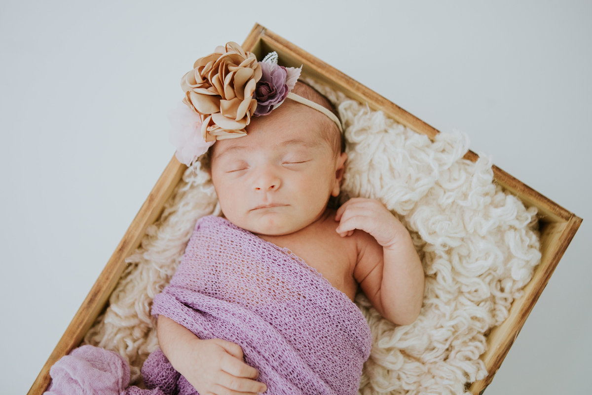 Pittsburgh Newborn Photographers-7