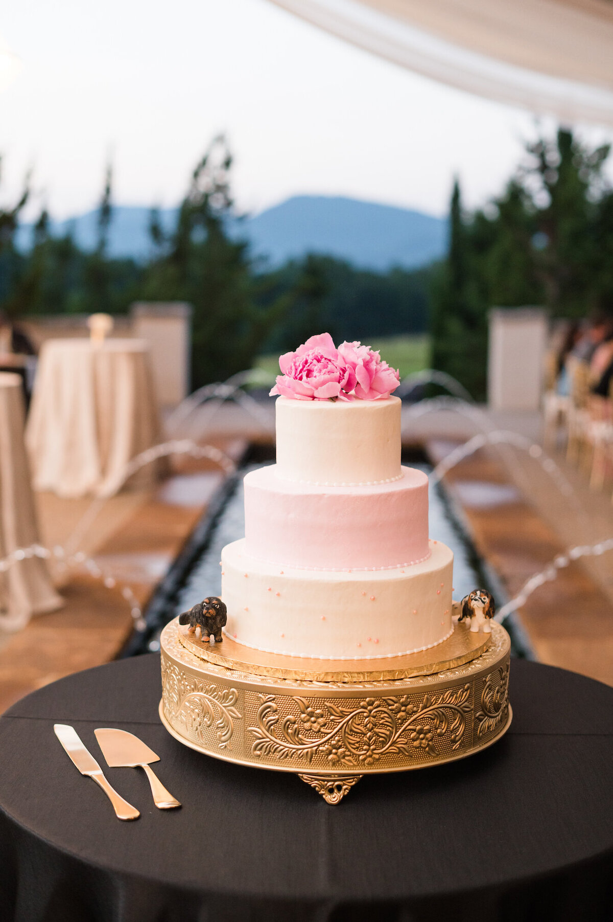 hotel-domestique-wedding-greenville-sc-photography-833