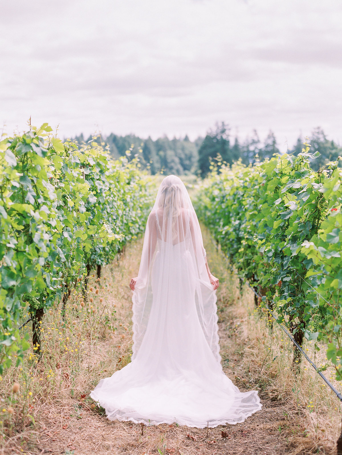 beautiful bride in the vineyard at Vista Hills