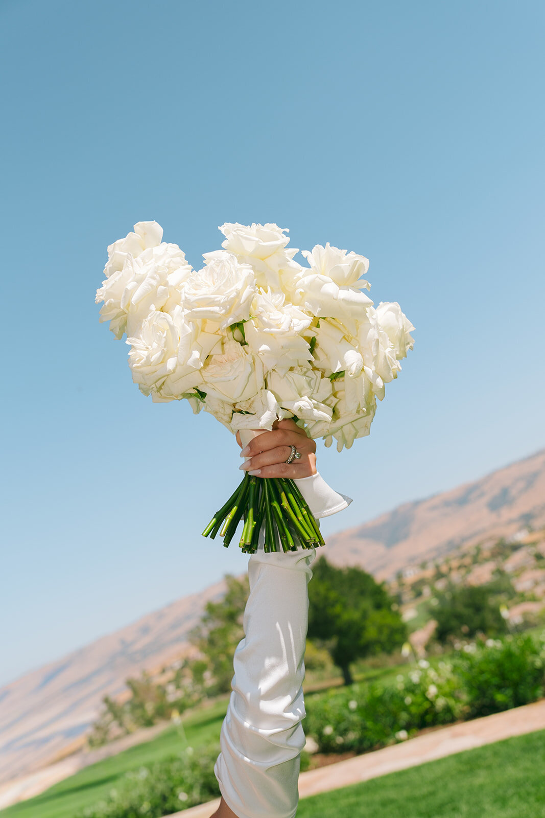 Coby & Alexandra Photos & Films- Silver Creek Valley Country Club Wedding V+D-60_websize