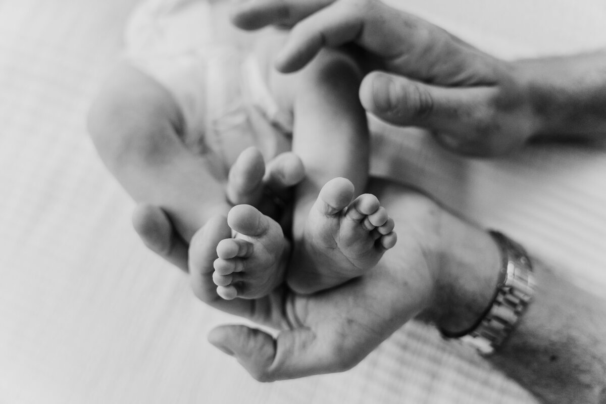 Newborn Photographer,  dad holds baby's feet