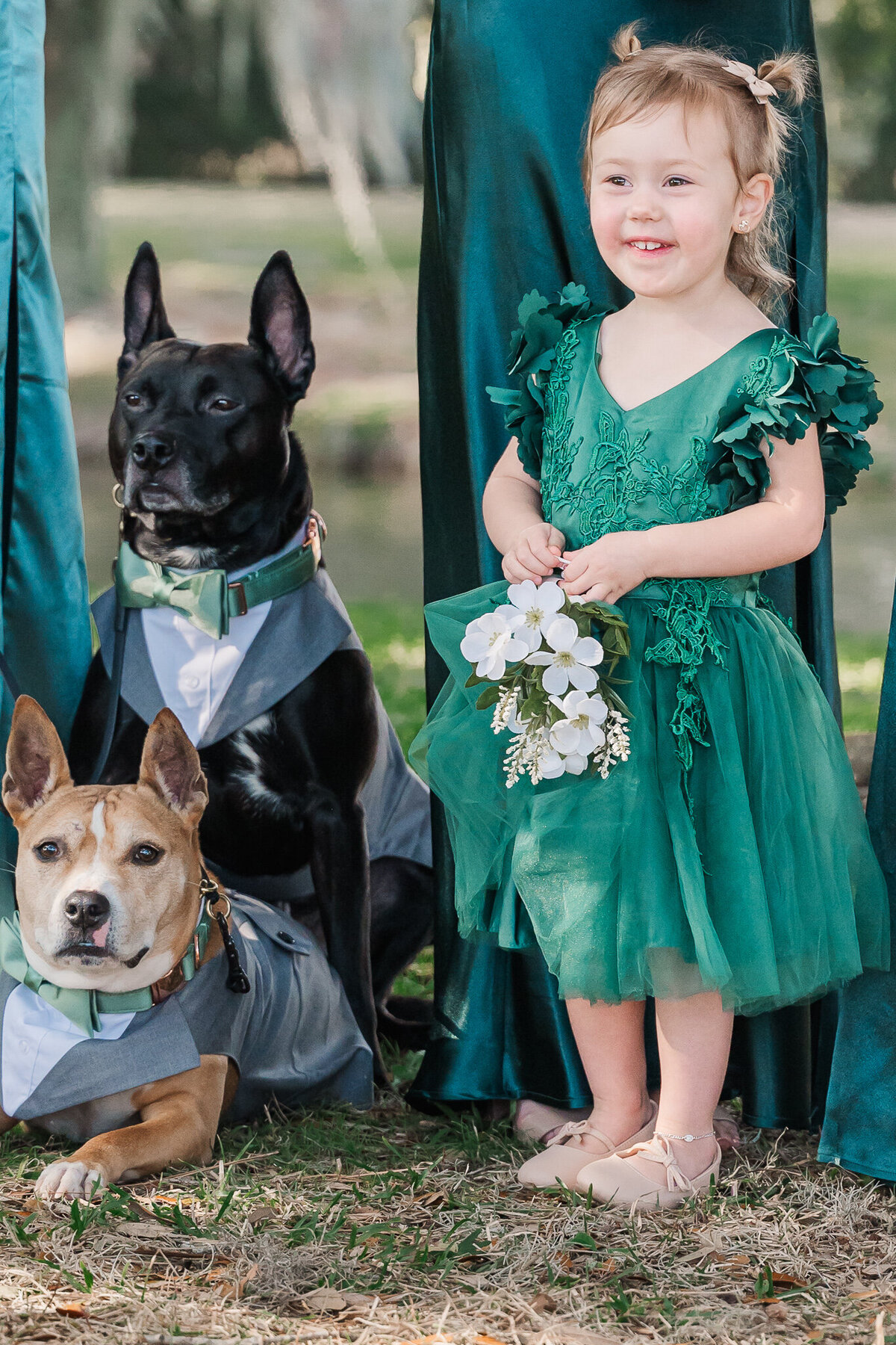 Two dogs and a flower girl excited to watch the bride walk down the aisle by JoLynn Photography, a North Carolina wedding photographer