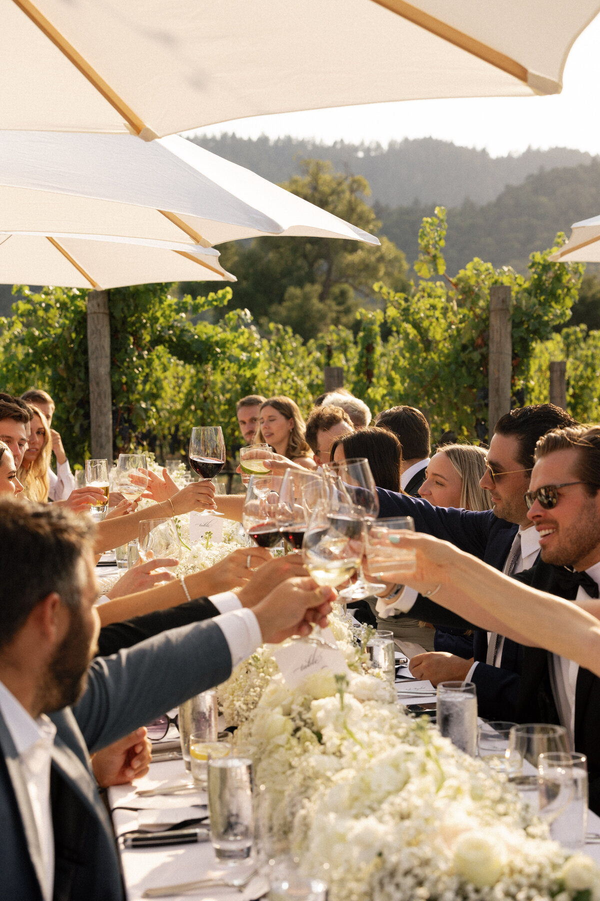 Napa-Wedding-Photographer-19