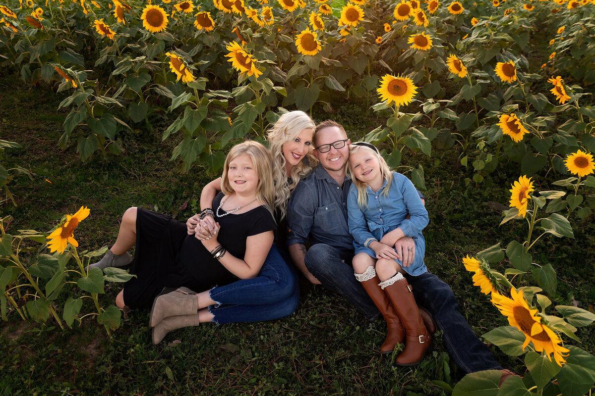 sunflowers family photography